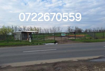 Spațiu comercial, în Moisica - 3