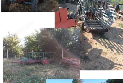 Casă cu 5 camere cu Teren 70000 Mp în Gârliște - 5