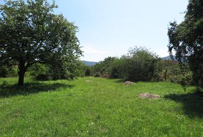 Loc de casa - Covasant - 1