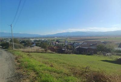 Teren intravilan cu proiect de casa autorizat in Sura Mare - 1