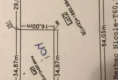 Teren intravilan-vanzare sau inchiriere - 1