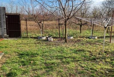 Casa cu 3 camere - 5