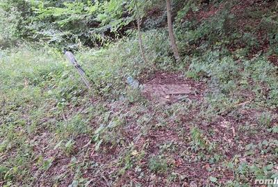 VANZARE ANSAMBLU CASUTE BRADULET ARGES - 17