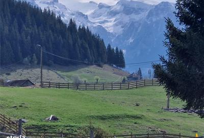 Spațiu comercial, în Fundata - 10