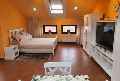 Apartament semidecomandat în Dorobanți - 3