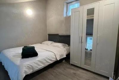 Inchiriere Tiny House cu Terasa + Parcare Victor Babe?, Timi?oara - 4