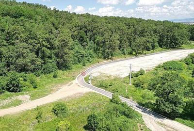 Teren de 5500 mp, în Cristian - 14