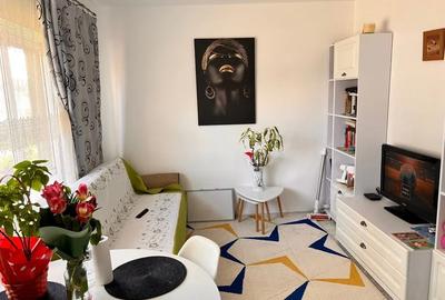 Apartament cu 2 camere, zona Canta - 3