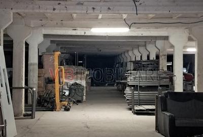 Depozit și hală industrială de vânzare – Orțișoara, complex industrial Avicola - 2