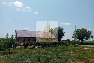 Teren agricol intravilan de 16000 mp, în Belinț - 19