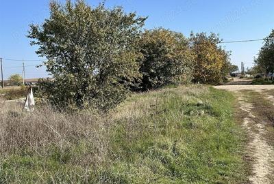 Teren de 22000 mp, în Livada - 4