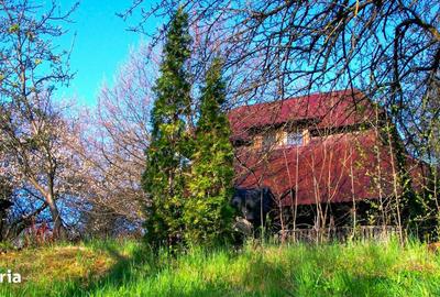 Teren de 14000 mp, în Mihai Viteazu