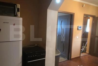 Casă cu 5 camere cu Teren 3000 Mp în Botiz - 3