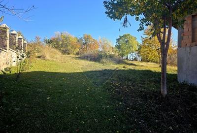 Casa / Vila cu 5 camere de vanzare - 44