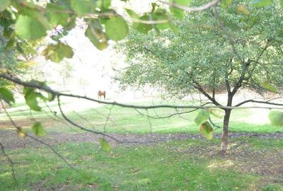 Teren intravilan Brasov-Schei - 2