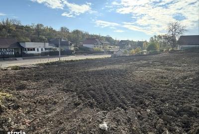 Teren de 1000 mp, în Central - 3