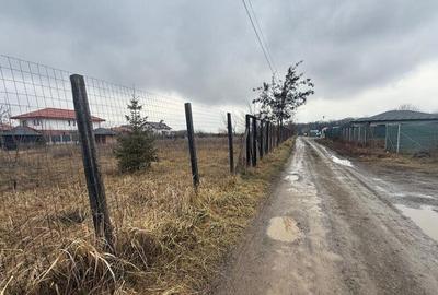 Valea ursului, teren intravilan de la margine de padure 600mp - 3