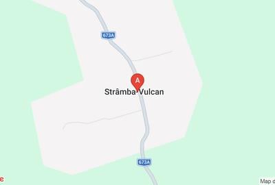 Casă individuală cu 4 camere cu Teren 3692 Mp în Strâmba-Vulcan - 1