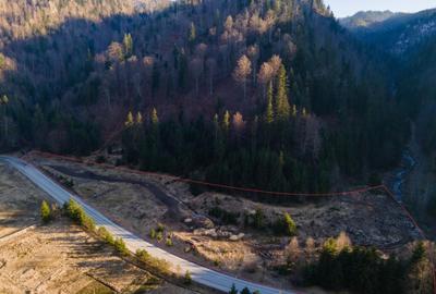 Oportunitate de investi?ie! Teren intravilan, Colibi?a, ju - 4