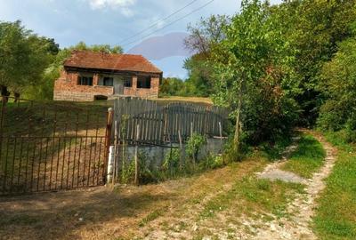 Casa veche cu teren ,Varmaga jud Hunedoara - 2