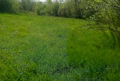 Teren de 4 mp, în Calea Mare - 6