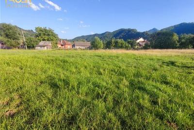 Teren intravilan Bistrita Birgaului, schimb cu apartament Teren intravilan Bistrita Birgaului, schimb cu apartament - 2