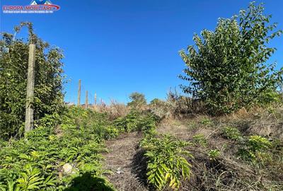 Teren de localitatea Telita-judetul Tulcea - 2