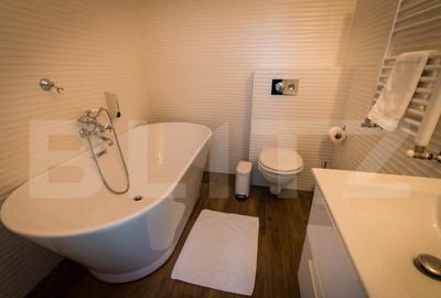 Apartament cu o camera, ultracentral - 2