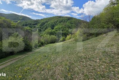 Spațiu comercial, în Pădure - 3