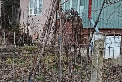 Casă cu 4 camere cu Teren 3500 Mp în Podgoria