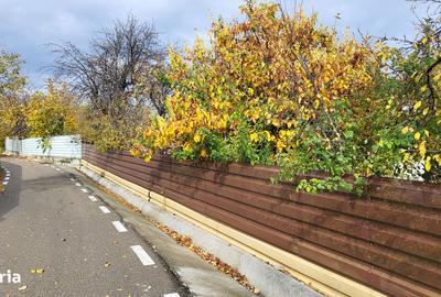 Casă cu 3 camere cu Teren 3200 Mp în Vârteșcoiu - 1