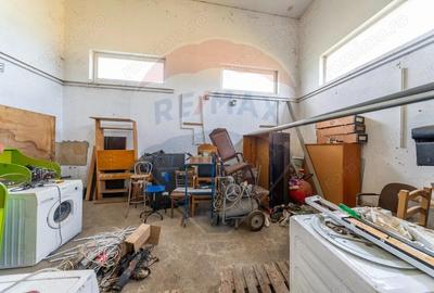 Spa?iu industrial cu potential de vanzare in Paulis,Arad - 15