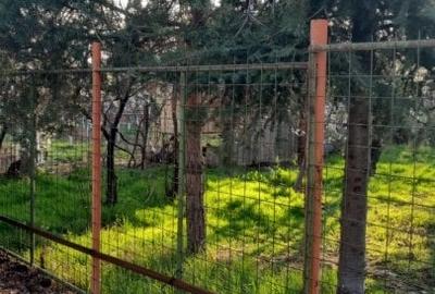 Popesti Leordeni - 2