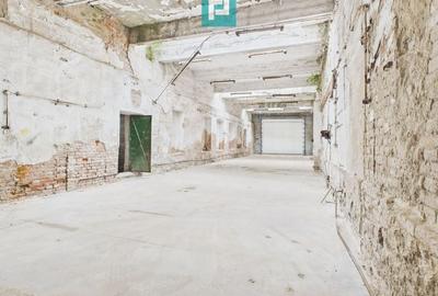 Hala 120 mp pentru depozitare în Periam - 2