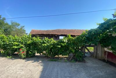 Casa cu 4405 mp teren, in Localitatea Cerna, Comuna Lieblie Casa cu 4405 mp teren, in Localitatea Cerna, Comuna Lieblie - 3