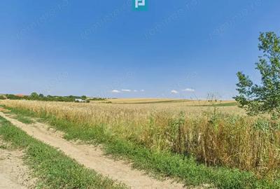 Teren intravilan + extravilan in Remetea Mica - 1