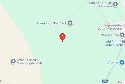 Teren agricol extravilan de 10000 mp, în Horlești - 1