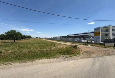 Teren de 10000 mp, în Brănești - 3