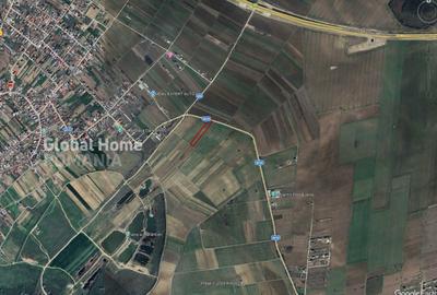 Teren Construcții intravilan de 5610 mp, în Dărăști-Ilfov - 2