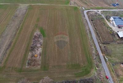 Teren 6,400mp Minis / Strada Traian Fidrich - 2