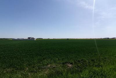 Teren agricol intravilan de 9313 mp, în 1 Decembrie - 3