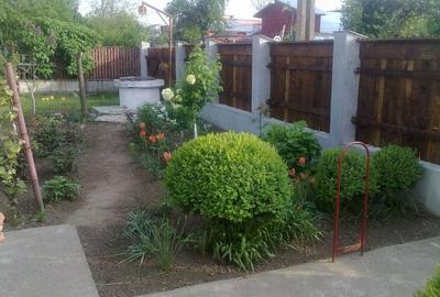 Casă cu 4 camere cu Teren 1490 Mp în Jilavele - 3