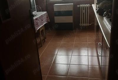 Apartament de 3 camere Giurgiului - Luica - 8