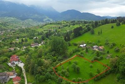 FILM! Langa emblematicul Castel Bran, in areal colinar, 5.700mp intravilan