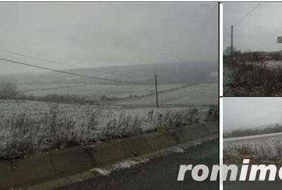 Teren Extravilan Corbita, ID: R1966425 - 2