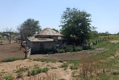 Teren agricol extravilan de 18267 mp, în Mizil - 3