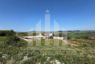 Teren Construcții intravilan de 700 mp, în Micești - 2