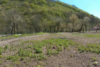 Casa mare la ?ara cu teren generos in zona superba Casa mare la ?ara cu teren generos in zona superba - 2