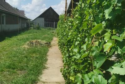 Casă cu 5 camere în Tiream - 5