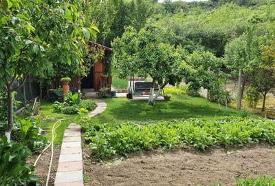 Apartament cu 2 camere decomandat în Curtișoara - 3